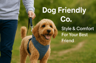 dog friendly co blog post