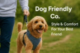 🐾 Dog Friendly Co. Review – Stylish Comfort for Your Best Friend